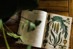 an open book sitting on top of a wooden table next to a potted plant