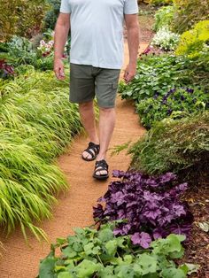 a man walking down a path in a garden