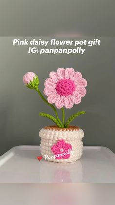 a crocheted flower pot with pink flowers in it