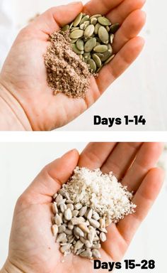 This is a comprehensive post with everything you need to know about seed cycling for hormones and fertility! Read on to learn what seeds to use, how to store them, who should seed cycle, why it works and how to incorporate it into your daily routine! Seed Cycle, Hormone Diet, Seed Cycling, Weight Gain Supplements, Seeds Benefits, 30 Challenge, Low Estrogen Symptoms, Hormonal Health, How To Regulate Hormones