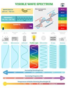 the different types of waveforms and their functions in this image are labeled with an arrow