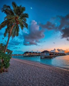 palm trees on the beach at sunset with a pier in the background and clouds overhead