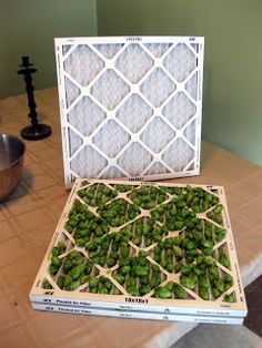 a box filled with green plants sitting on top of a table next to a blender