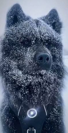 a dog covered in snow sitting on the ground with it's head up and eyes closed