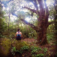 a woman sitting on top of a moss covered rock in the middle of a forest