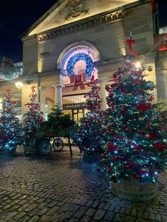 christmas trees are lined up in front of a building with lights and decorations on it