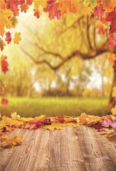 an autumn scene with leaves on the ground and a tree in the backgroud