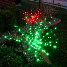 a green plant with red and green lights on it's leaves in the grass