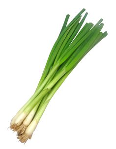 green onions are shown on a white background