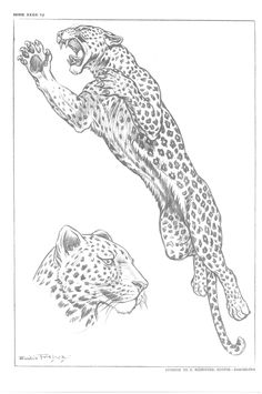 Leopard Drawing, Cute Tattoo Ideas, Big Cat Tattoo, Jaguar Tattoo, Cute Tattoo, Leopard Art