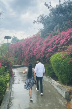 a man and woman walking down a walkway in front of pink flowers on either side