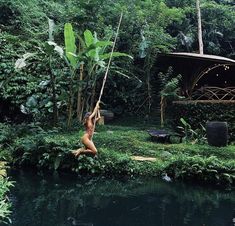 a woman hanging from a rope in the middle of a jungle with trees and plants