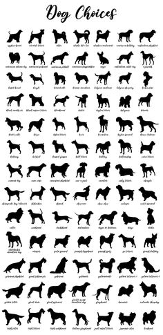 the silhouettes of dogs are shown in black and white, with words describing their names