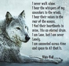 a wolf laying on the ground next to a poem