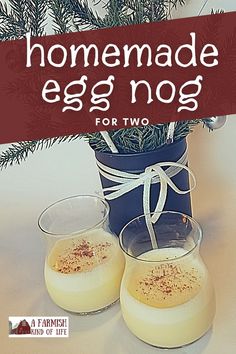 homemade eggnog for two in front of a potted plant