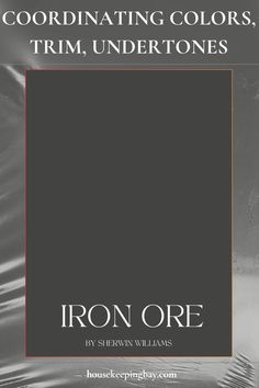 Iron Ore by Sherwin Williams - Coordinating Colors, Undertones, Trim Guide Warm Gray Paint, House Trim, Sherwin Williams Colors, Basement House, Benjamin Moore Colors