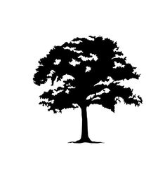 a black and white silhouette of a tree