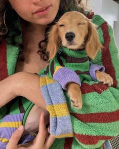 a woman holding a dog wrapped in a towel while wearing a sweater and looking at the camera