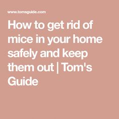 the words how to get rid of mice in your home safety and keep them out tom's guide