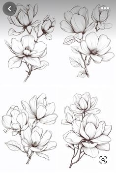 some flowers that are drawn in pencil