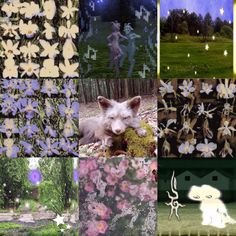 a collage of pictures with cats and flowers on them, including trees, grass, people in the background