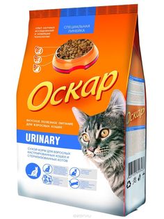 a cat is looking at the camera while standing in front of a bag of ocrap urinary