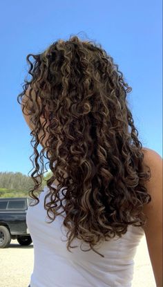 Dream Curly Hair, Highlits Curly Hair, Hair Dyes For Curly Hair, 3a Long Curly Hair, Summer Highlights Curly Hair, Sun Kissed Curly Hair Highlights, Honey Blonde Highlights On Brown Hair Curly, Light Highlights Curly Hair, Balayage For Curly Hair Natural Curls