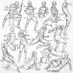 a drawing book with various poses and body shapes