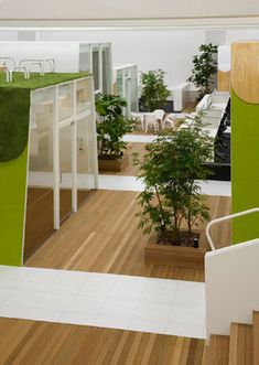 an office with green walls and white chairs in the center is filled with potted plants