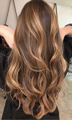 Hair Colours For Neutral Skin Tones, Brown Hair Gold Highlights, Level 6 Hair Color With Highlights, Warm Balayage Brunettes, Highlights Brown Hair Balayage, Balayage Caramel, Blonde Hair Goals, Long Hair Highlights, Chestnut Hair Color