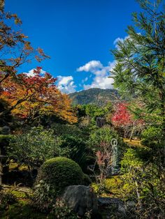 the garden is full of colorful trees and bushes, with mountains in the back ground