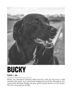 a black and white photo of a dog with the caption'bucky '