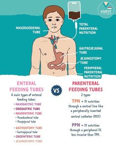 an info poster showing the different types of human organs and how they are used to treat them