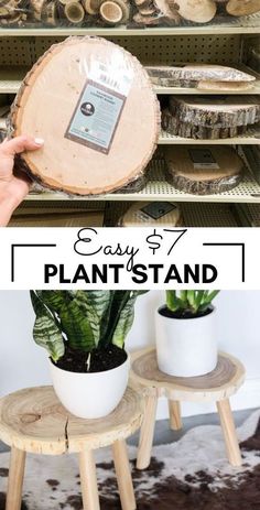 the plant stand is made out of wood and has plants in it