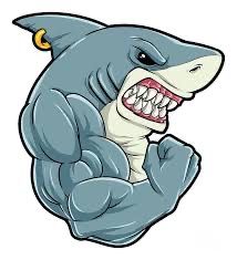 a cartoon shark flexing his muscles and showing off his big muscles with one hand