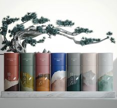 an assortment of tea tins sitting next to a bonsai tree