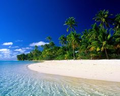 an island with palm trees on the beach