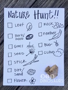 a paper with some writing on it and a rock next to it that says nature hunt