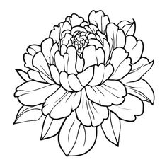 a black and white drawing of a large flower with leaves on the petals, in an outline