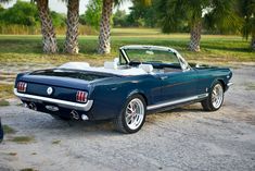 an old blue mustang convertible parked in a parking lot with palm trees and grass behind it