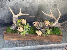 two deer antlers with flowers and succulents on top of a piece of wood