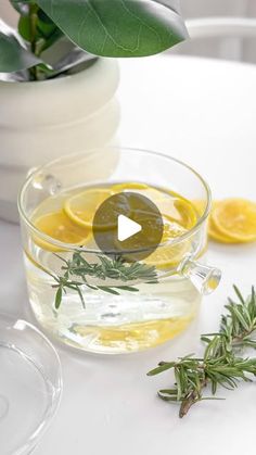 a glass bowl filled with lemons and herbs on top of a white table next to a potted plant