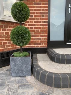 a potted tree sitting on the side of a brick building