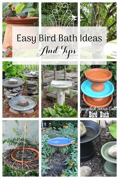 many different types of birdbath ideas and tips to make them look like they're