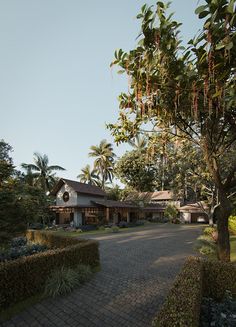 a driveway leading to a large house surrounded by trees