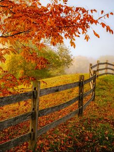 a wooden fence surrounded by fall leaves