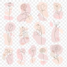 pink flowers are arranged in different shapes and sizes on a white background, including one flower with