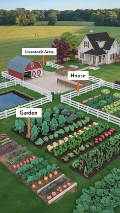 an aerial view of a farm with many different types of vegetables in the yard and on the lawn