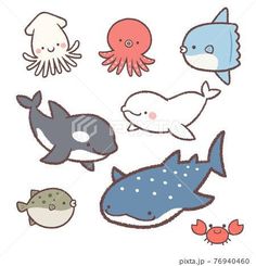 an assortment of sea animals on a white background