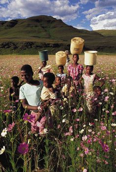 a group of people carrying buckets on their heads in a field full of flowers